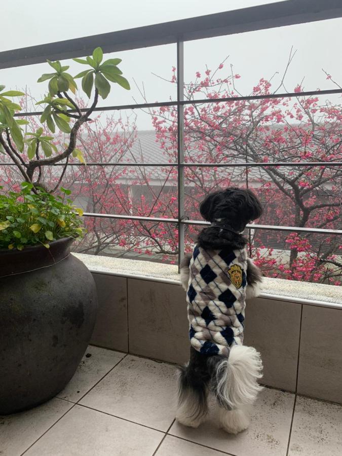 Sanyi Wei Wei Feng B&B エクステリア 写真